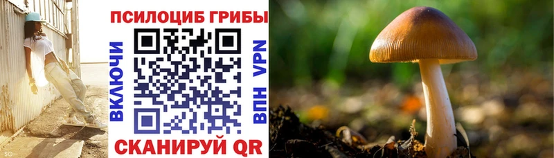 Галлюциногенные грибы Psilocybe  Сибай 